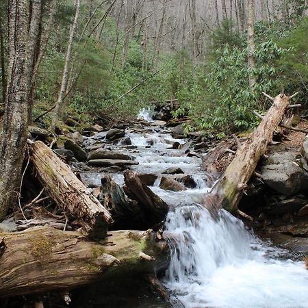 Gorgeous Large Mountain View Cabin W Hot Tub, Free Wifi, Games Vila Sevierville Exterior foto