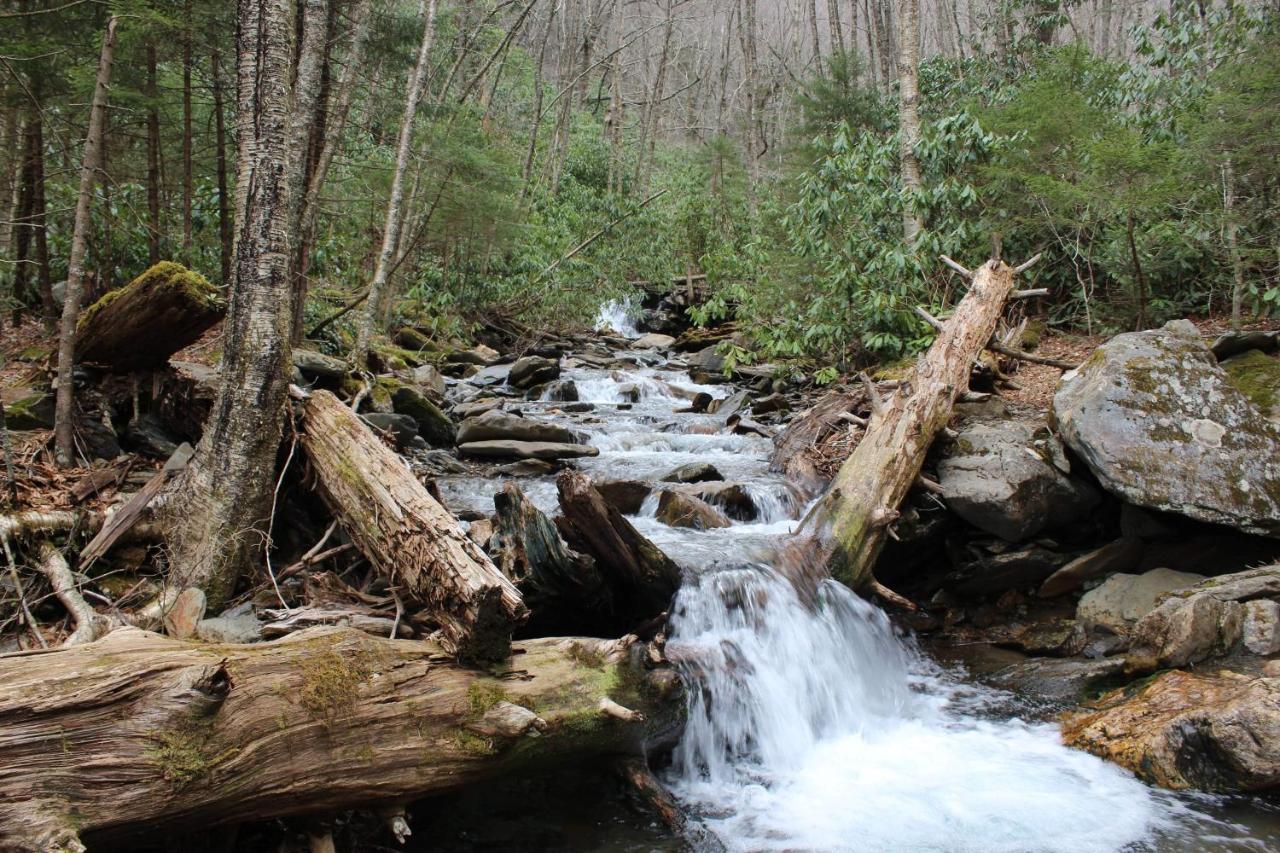 Gorgeous Large Mountain View Cabin W Hot Tub, Free Wifi, Games Vila Sevierville Exterior foto