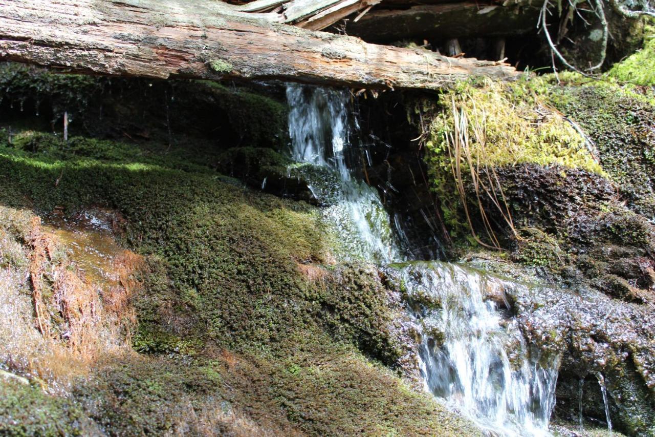 Gorgeous Large Mountain View Cabin W Hot Tub, Free Wifi, Games Vila Sevierville Exterior foto
